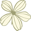 Circle-Flower-1