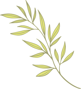 Circle-Leaves-4