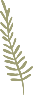 Circle-Leaves-7