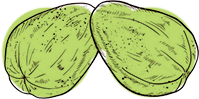 Haritaki